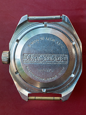 Vostok Amphibia 470305
